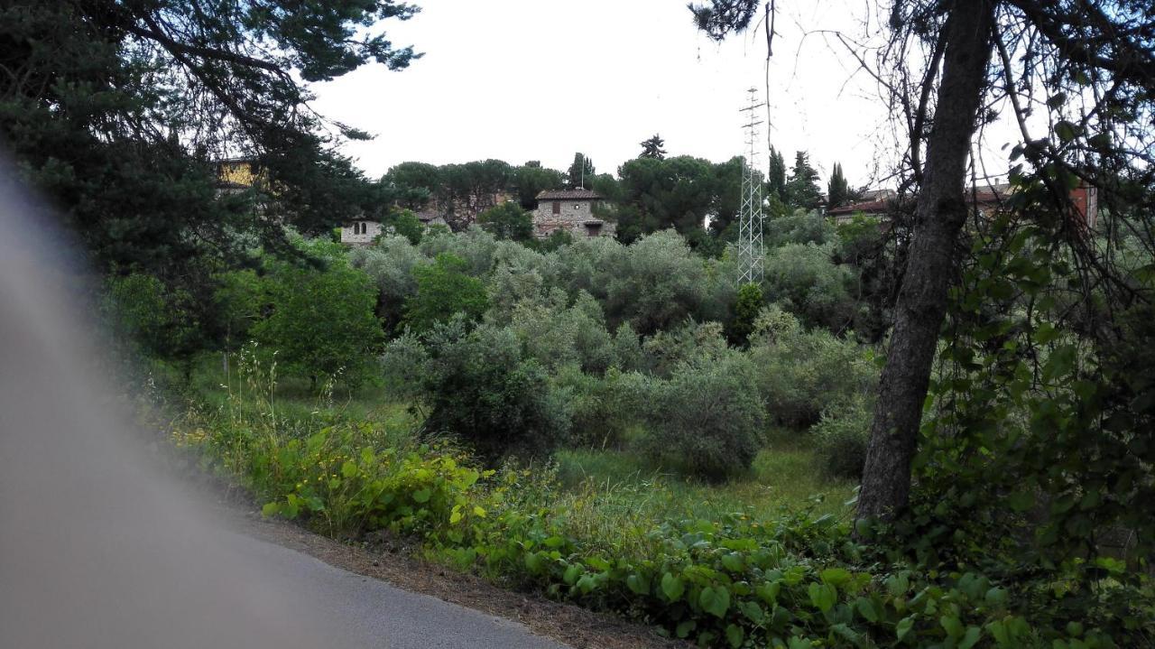 Apartamento Casa Lilio Radda in Chianti Exterior foto